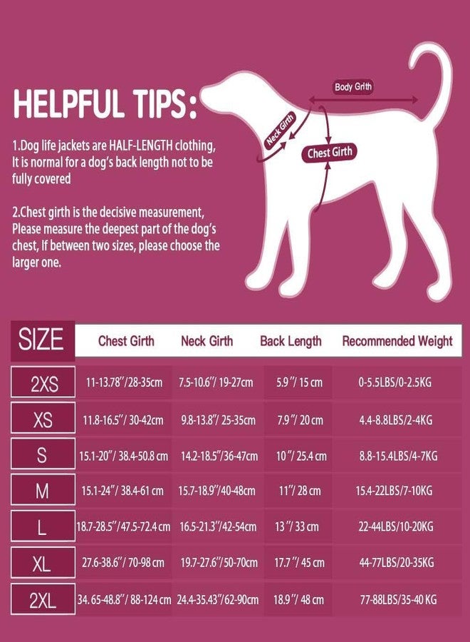 jilani Polyester Dog Life Jacket, Life Jacket for Dogs, Medium Size Adjustable Strap, multicolor, 1 Count - Image 2